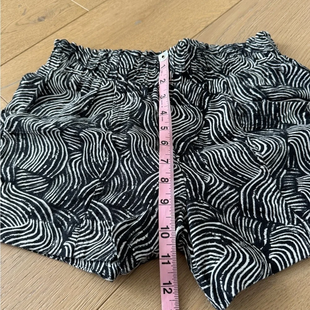 a new day bold zebra